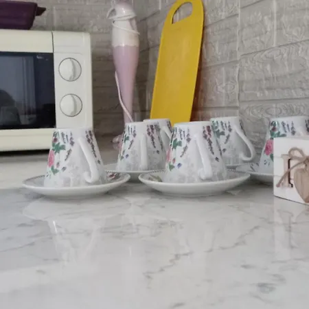 Stan Na Dan Centar דירה