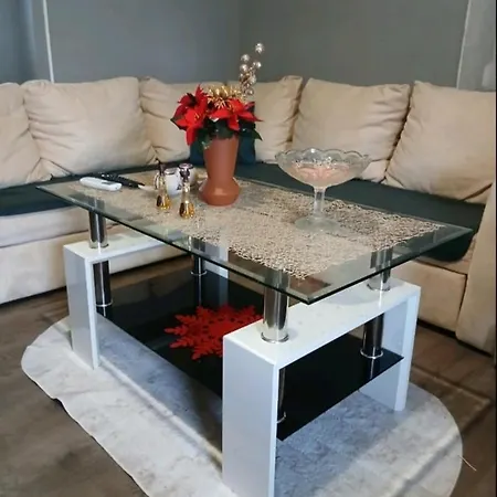 Apartment Stan Na Dan Centar